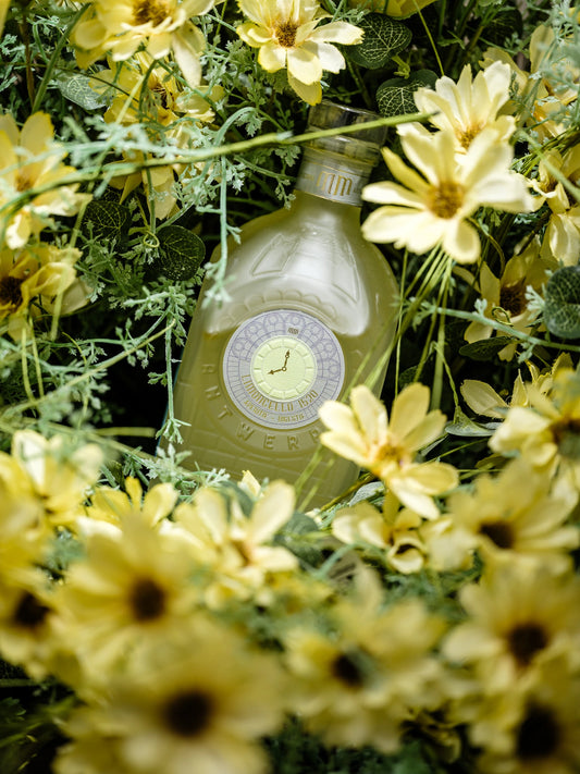 Limoncello 1520